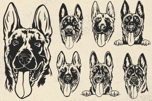 Belgian Malinois Svg, Dog Head Vector