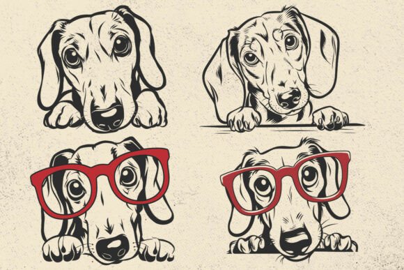 Mini Dachshund, Dog Peeking Svg Cricut