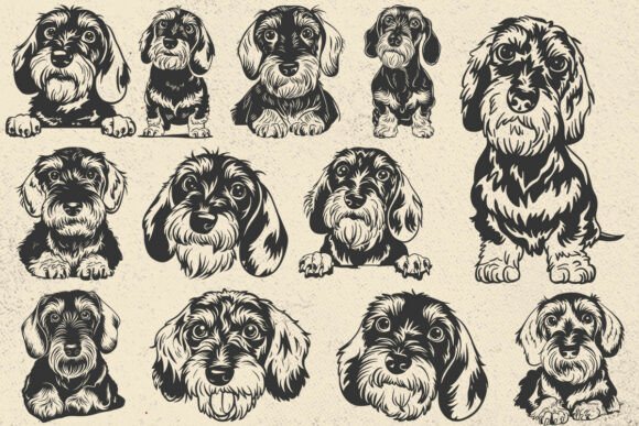 Wirehaired Dachshund Svg, Dog Cricut: A Designer's Review