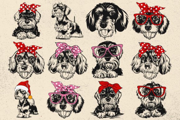 Wirehaired Dachshund Svg Dog Cricut Svg